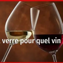 Deux verres de vin, blanc et rouge, suggèrent comment savoir si un vin est bon. Le Point.