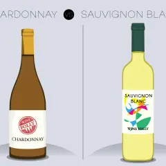Illustration comparant deux bouteilles de vin : Chardonnay (brun) et Sauvignon Blanc (jaune). Découvrez la différence entre Chardonnay et Sauvignon.