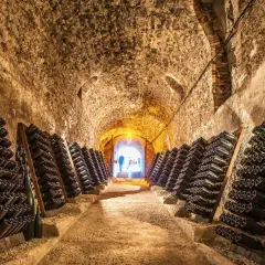 Dans cette cave à vin, des rangées de bouteilles de champagne reposent sur des pupitres. La question "peut on mettre du champagne dans une cave à vin" trouve ici sa réponse.