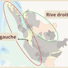 Carte de Bordeaux et ses environs, délimitant la rive gauche et la rive droite.