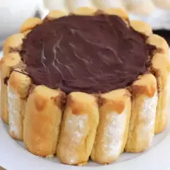 Une délicieuse charlotte au chocolat, entourée de biscuits à la cuillère, prête à être dégustée.