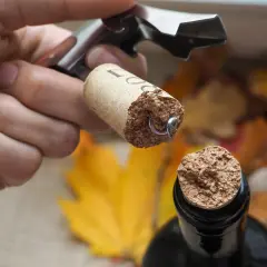 Maintenant, comment enlever un bouchon de liège dans une bouteille ? Un tire-bouchon est utilisé pour retirer le bouchon d'une bouteille de vin.