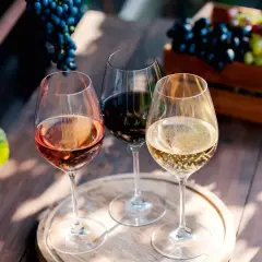 Trois verres de vin, un rosé, un rouge et un blanc pétillant, évoquent la dégustation de grands crus bordeaux, avec des grappes de raisin en arrière-plan.