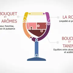 Le verre de vin en puzzle illustre les qualités d'un vin : bouquet, arômes, robe, bouche et tanins. Il évite les défauts du vin.
