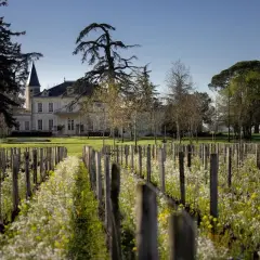Château majestueux bordé de vignes fleuries, promesse d'un millésime Saint-Émilion Grand Cru d'exception.