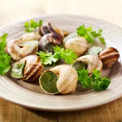 Escargots à l'ail et persil sur une assiette, prêts à être dégustés. La question est : quel vin avec les escargots ?