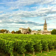 Champ de vignes verdoyantes devant un village bordelais avec une église à flèche. Une belle image pour une liste domaine viticole bordeaux.