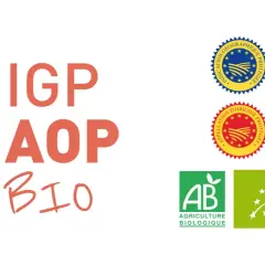 IGP, AOP, BIO : labels garantissant la qualité et l'origine de produits, comme une appellation vin de France. Logos AB et bio européens.