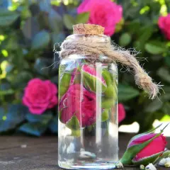 Bouteille en verre remplie de roses et de liquide, avec des roses en arrière-plan. Une idée pour que faire avec un mauvais vin rosé : créer une eau florale !