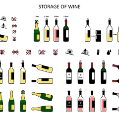 Illustrations de bouteilles de vin et de champagne. La température de conservation du vin blanc est cruciale pour préserver ses arômes.