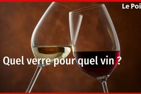 Deux verres de vin, blanc et rouge, suggèrent comment savoir si un vin est bon. Le Point.