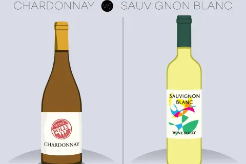 Illustration comparant deux bouteilles de vin : Chardonnay (brun) et Sauvignon Blanc (jaune). Découvrez la différence entre Chardonnay et Sauvignon.