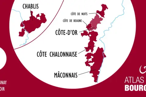 Carte des vignobles de Bourgogne, montrant Chablis, Côte d'Or (avec Côte de Nuits et Côte de Beaune), Côte Chalonnaise et Mâconnais. 28 000 hectares dédiés au Chardonnay et Pinot Noir, des terroirs d'exception pour un grand cru.
