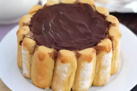 Une délicieuse charlotte au chocolat, entourée de biscuits à la cuillère, prête à être dégustée.
