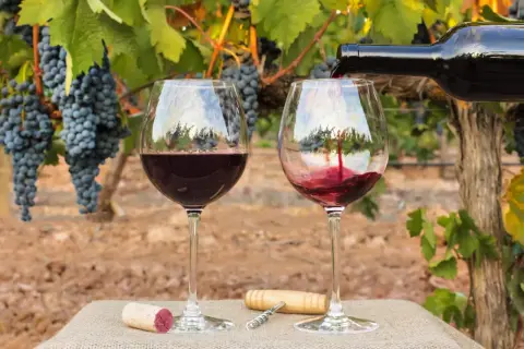 Verre de vin rouge versé dans un vignoble, avec des grappes de raisin mûres. Un bouchon et un tire-bouchon sont posés sur la table. Un 2ème cru à déguster.