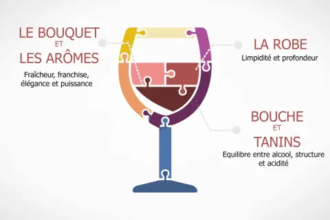Le verre de vin en puzzle illustre les qualités d'un vin : bouquet, arômes, robe, bouche et tanins. Il évite les défauts du vin.