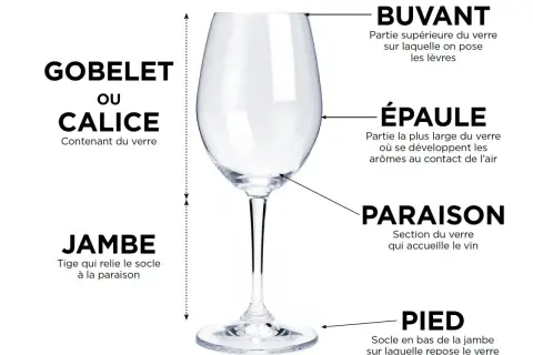 Gobelet ou calice : la contenance verre de vin est expliquée par ses différentes parties : buvant, épaule, paraison, jambe et pied.