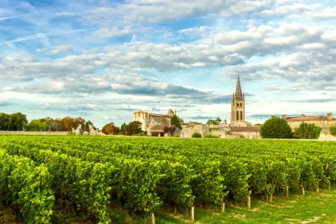 Champ de vignes verdoyantes devant un village bordelais avec une église à flèche. Une belle image pour une liste domaine viticole bordeaux.
