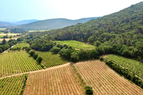 Vue aérienne du domaine Bouisse Matteri, avec ses vignobles verdoyants s'étendant sur des collines boisées sous un ciel bleu clair.