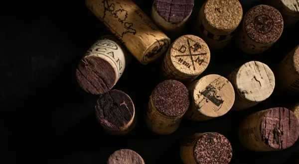 Une collection de bouchons de vin en liège, certains marqués, d'autres usés. Un rappel visuel de la question : vin bouchonné pourquoi.