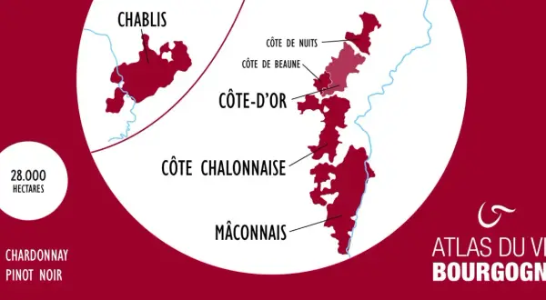 Carte des vignobles de Bourgogne, montrant Chablis, Côte d'Or (avec Côte de Nuits et Côte de Beaune), Côte Chalonnaise et Mâconnais. 28 000 hectares dédiés au Chardonnay et Pinot Noir, des terroirs d'exception pour un grand cru.