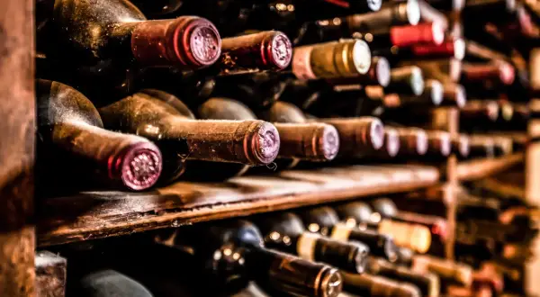 Des bouteilles de vin anciennes, poussiéreuses, sur des étagères en bois. Certaines ont des capsules rouges, d'autres dorées. On imagine le goût d'un vin qui pique en bouche.