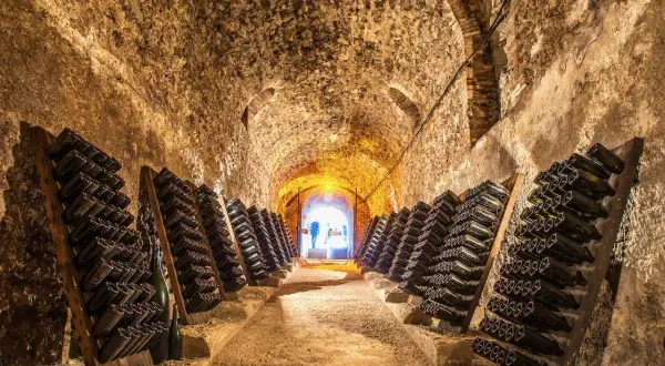 Dans cette cave à vin, des rangées de bouteilles de champagne reposent sur des pupitres. La question "peut on mettre du champagne dans une cave à vin" trouve ici sa réponse.