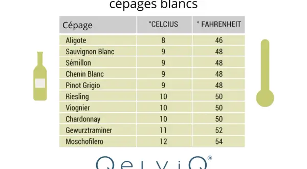 Tableau des températures idéales pour servir les vins blancs. Faut-il mettre le vin blanc au frigo ? Oui, entre 8 et 12°C selon le cépage.