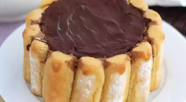 Une délicieuse charlotte au chocolat, entourée de biscuits à la cuillère, prête à être dégustée.