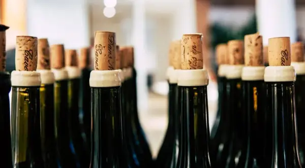 Bouchons en liège sur des bouteilles de vin, certaines indiquant "nom bouteille 15l".