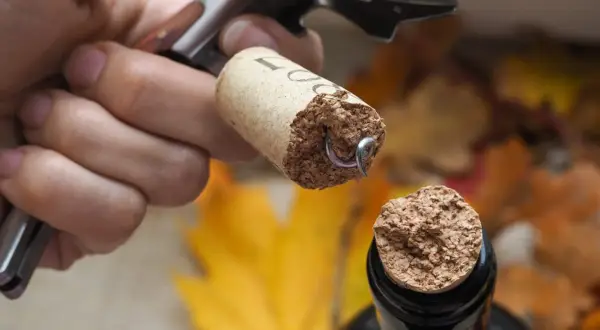 Maintenant, comment enlever un bouchon de liège dans une bouteille ? Un tire-bouchon est utilisé pour retirer le bouchon d'une bouteille de vin.