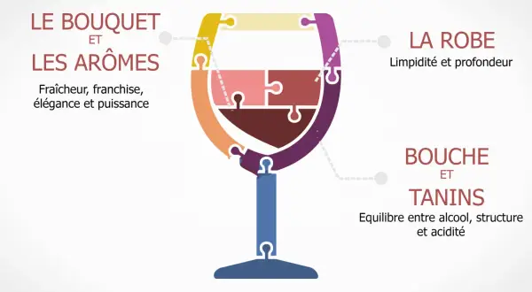 Le verre de vin en puzzle illustre les qualités d'un vin : bouquet, arômes, robe, bouche et tanins. Il évite les défauts du vin.