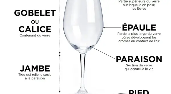 Gobelet ou calice : la contenance verre de vin est expliquée par ses différentes parties : buvant, épaule, paraison, jambe et pied.