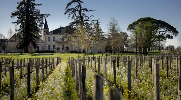 Château majestueux bordé de vignes fleuries, promesse d'un millésime Saint-Émilion Grand Cru d'exception.
