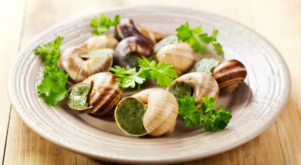 Escargots à l'ail et persil sur une assiette, prêts à être dégustés. La question est : quel vin avec les escargots ?