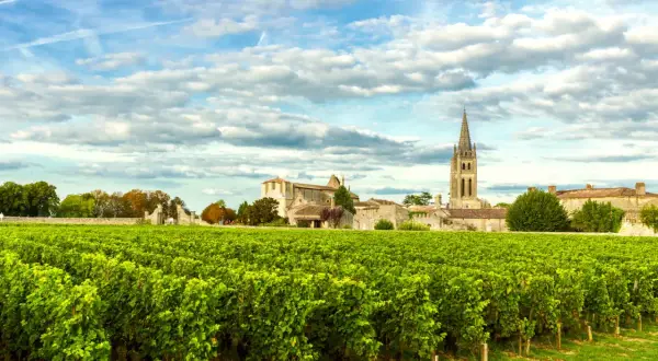 Champ de vignes verdoyantes devant un village bordelais avec une église à flèche. Une belle image pour une liste domaine viticole bordeaux.