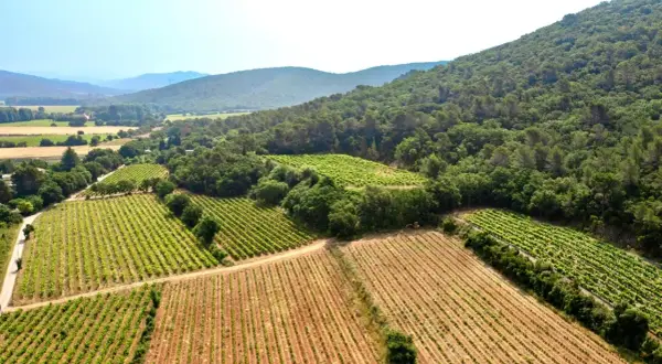 Vue aérienne du domaine Bouisse Matteri, avec ses vignobles verdoyants s'étendant sur des collines boisées sous un ciel bleu clair.