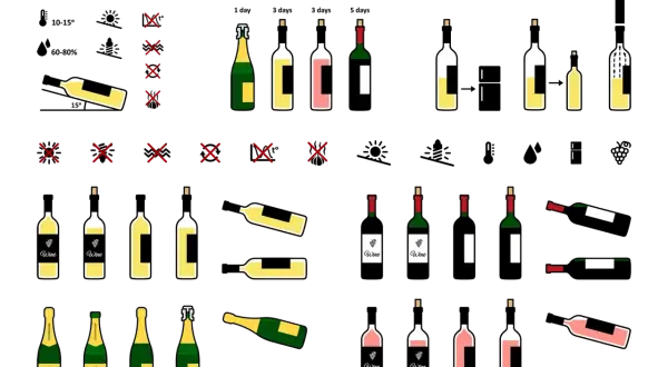 Illustrations de bouteilles de vin et de champagne. La température de conservation du vin blanc est cruciale pour préserver ses arômes.