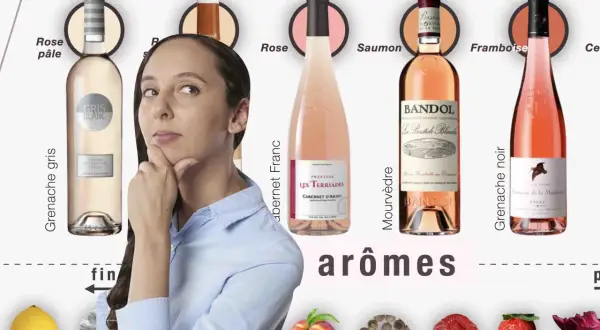 Une femme réfléchit devant des bouteilles de vin rosé, dont un vin rosé PACA. Des arômes de fruits et d'épices sont représentés.