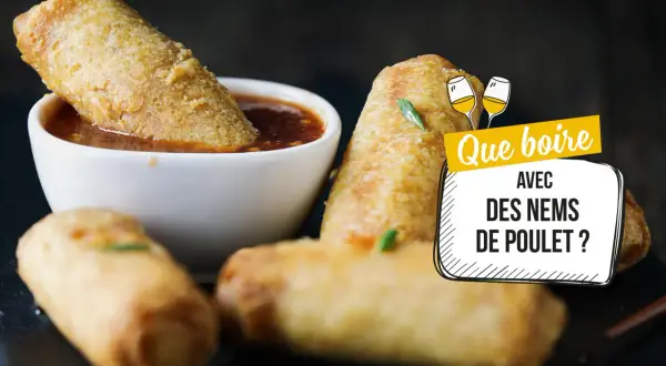 Nems croustillants trempés dans une sauce. La question se pose : quel vin avec des nems de poulet ?