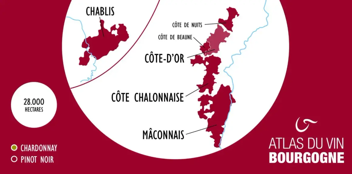 Carte des vignobles de Bourgogne, montrant Chablis, Côte d'Or (avec Côte de Nuits et Côte de Beaune), Côte Chalonnaise et Mâconnais. 28 000 hectares dédiés au Chardonnay et Pinot Noir, des terroirs d'exception pour un grand cru.