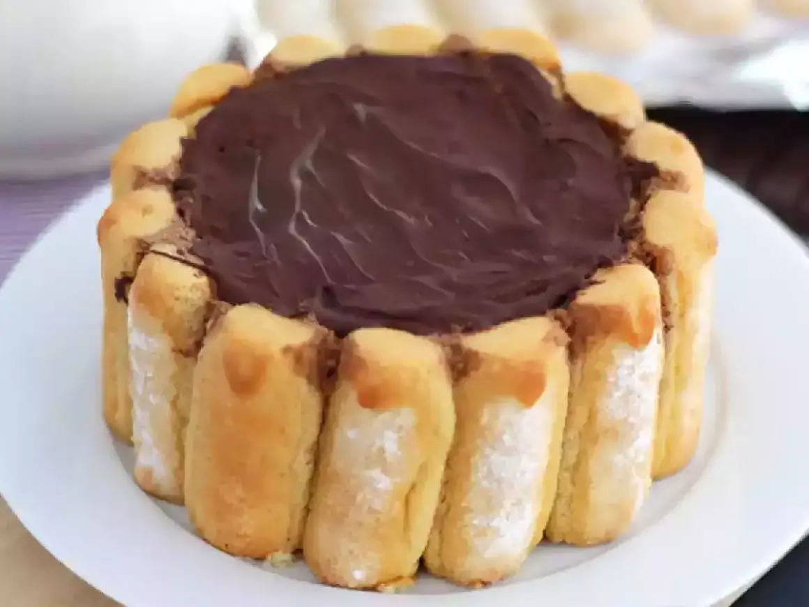 Une délicieuse charlotte au chocolat, entourée de biscuits à la cuillère, prête à être dégustée.