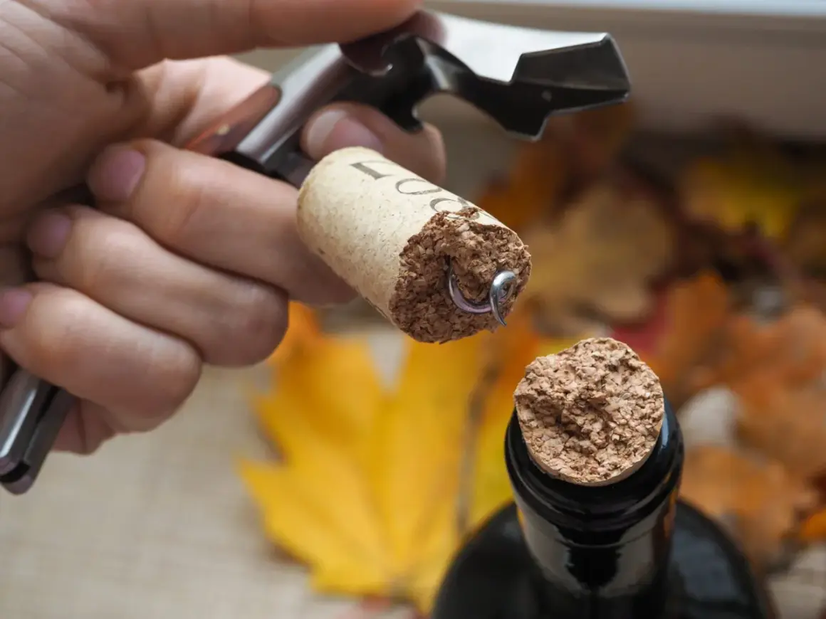 Maintenant, comment enlever un bouchon de liège dans une bouteille ? Un tire-bouchon est utilisé pour retirer le bouchon d'une bouteille de vin.