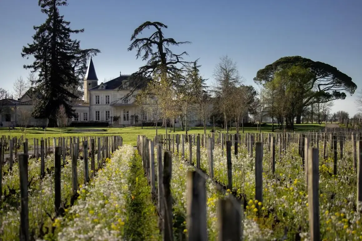 Château majestueux bordé de vignes fleuries, promesse d'un millésime Saint-Émilion Grand Cru d'exception.