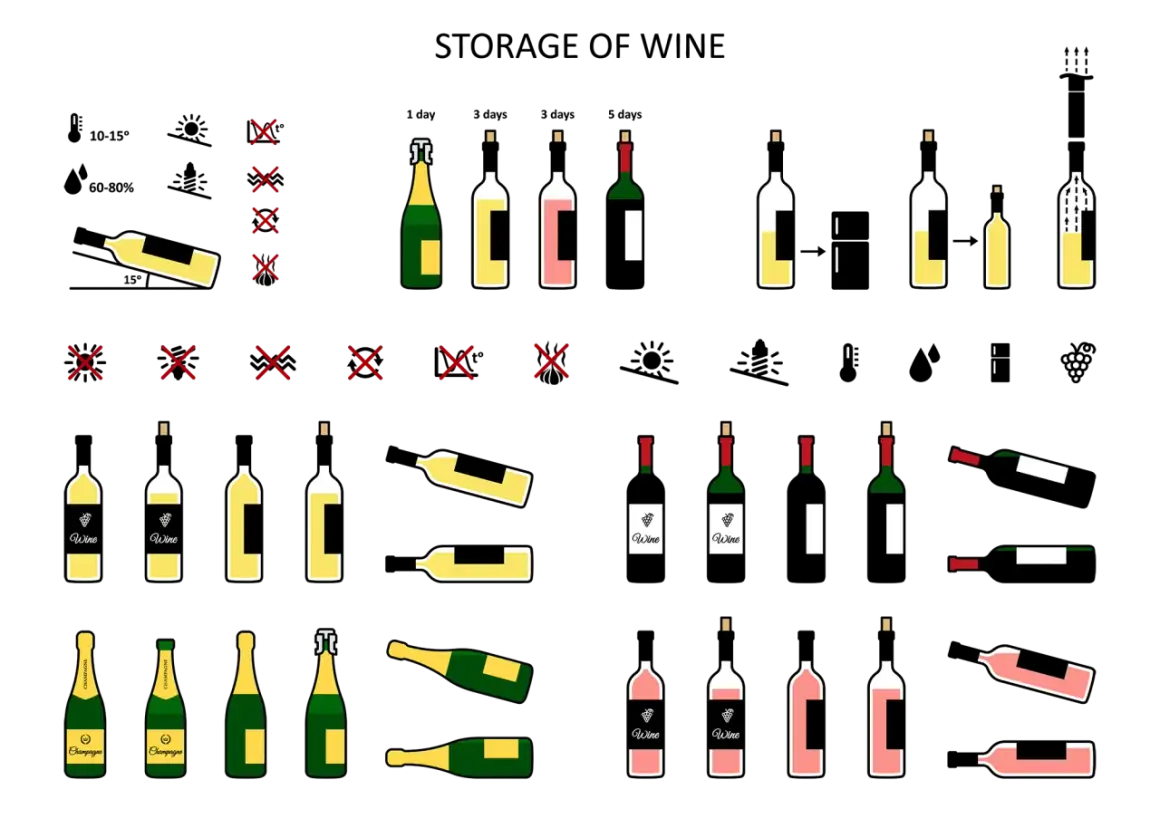 Illustrations de bouteilles de vin et de champagne. La température de conservation du vin blanc est cruciale pour préserver ses arômes.