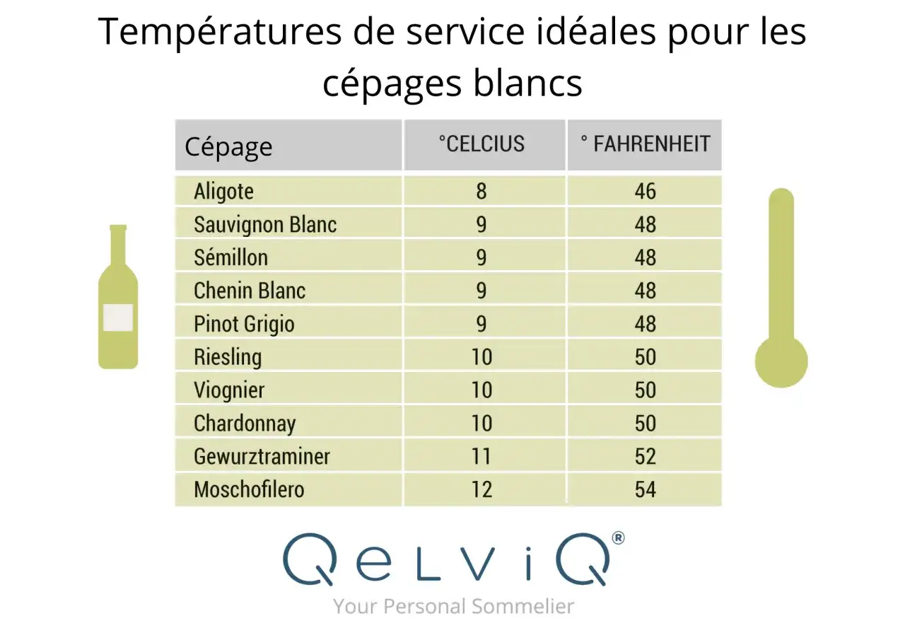 Vin blanc au frigo - La bonne température pour chaque style