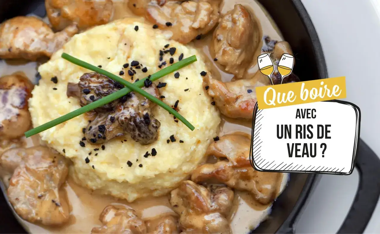 Un plat gourmand de ris de veau en sauce, servi avec une purée onctueuse et des morilles. Quel vin pour accompagner ce délice ?