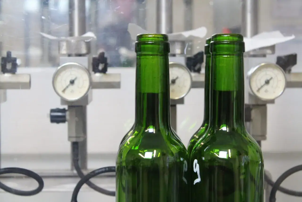Deux bouteilles vertes de vin, prêtes à être embouteillées. On imagine déjà ce vin qui pique en bouche, plein de caractère.