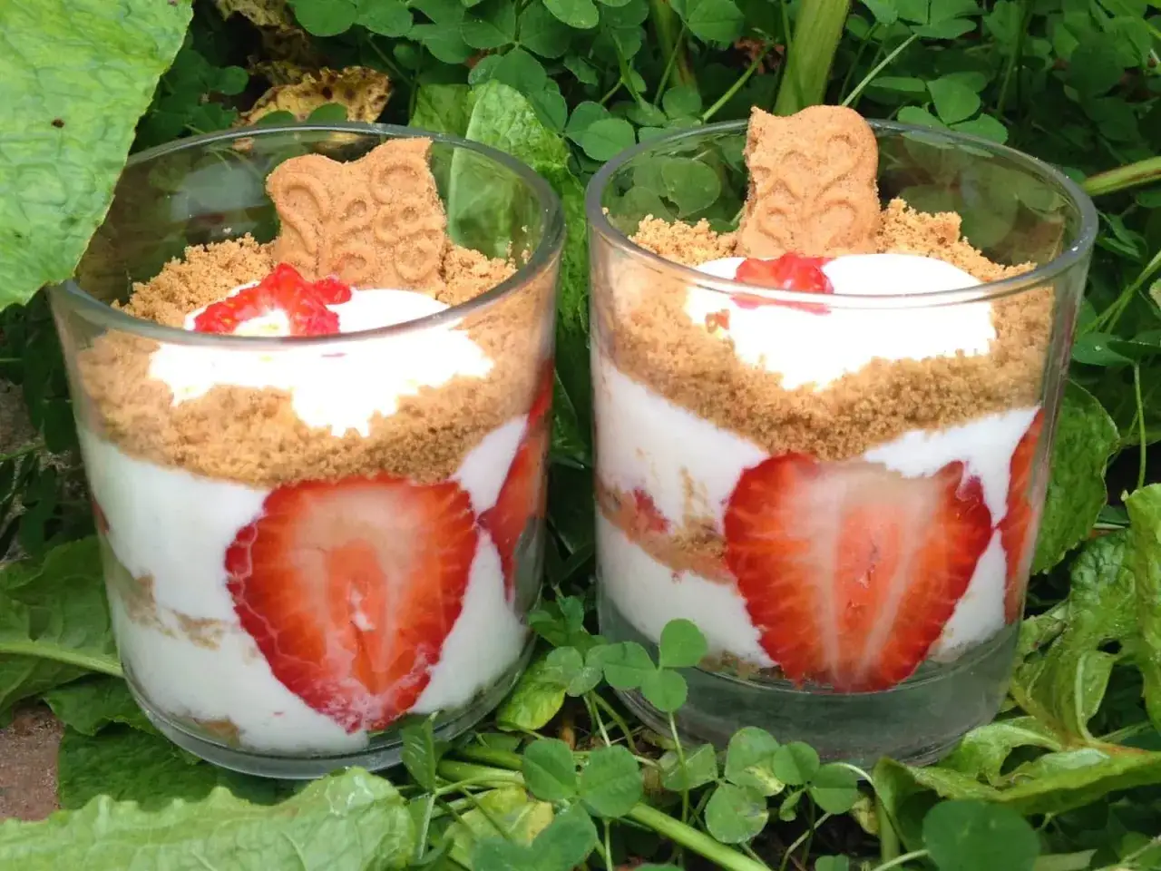Deux verrines de tiramisu fraises sp&eacute;culoos, garnies de biscuits et de fruits rouges, pos&eacute;es sur un lit de verdure.