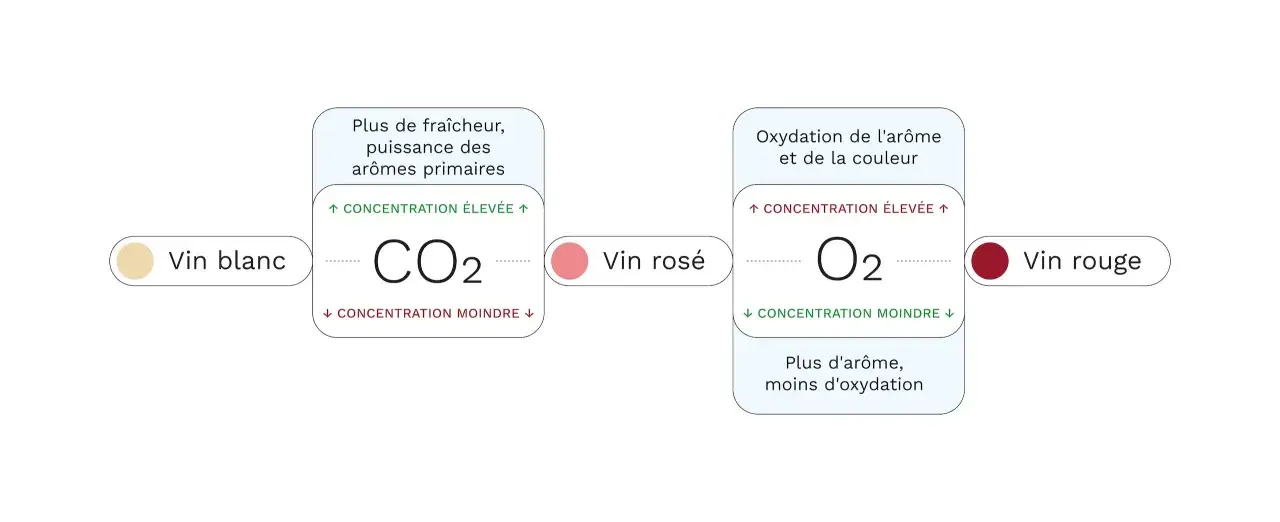 Schéma comparant le vin blanc (CO2, fraîcheur) au vin rosé et rouge (O2, oxydation de l'arôme).